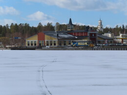 Viitasaari