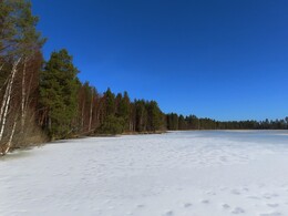   Iisvesi