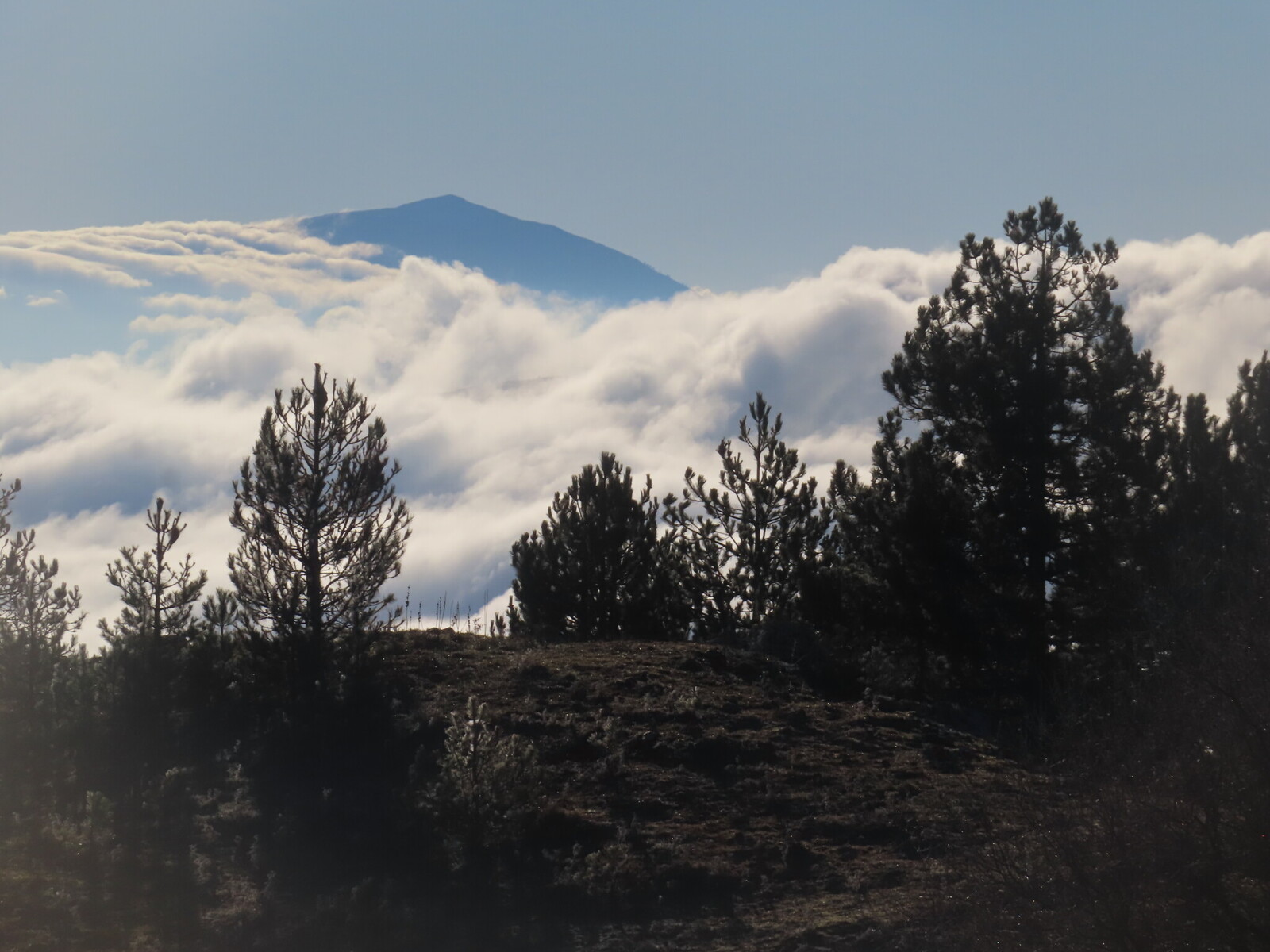 ��� ��������!