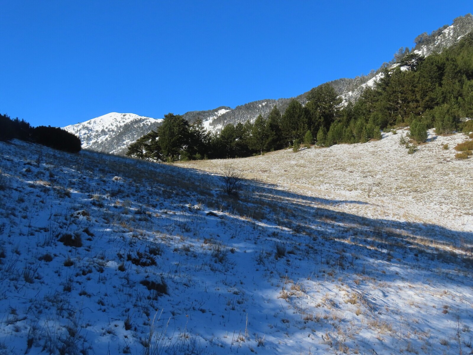 ���������� ����