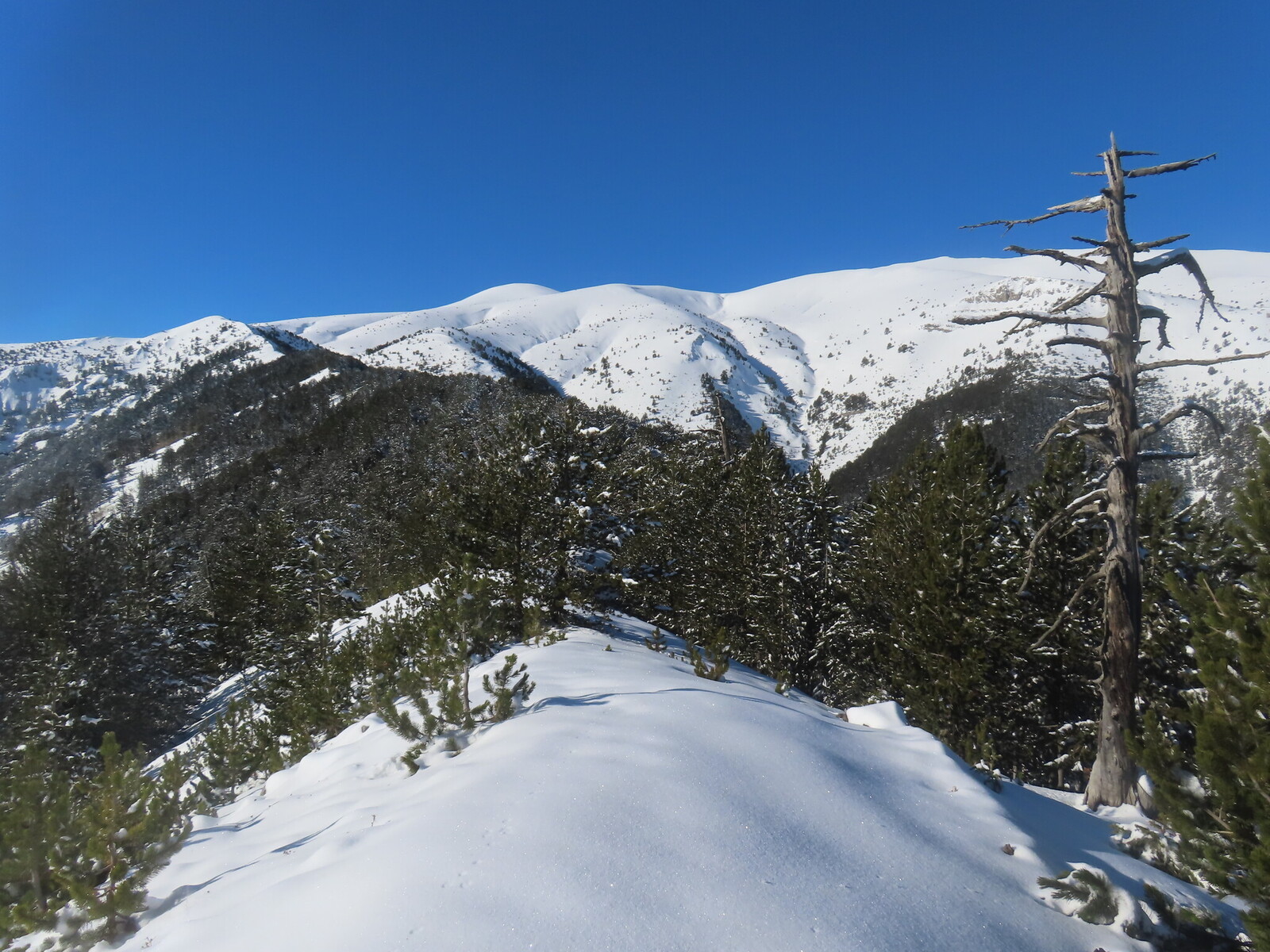 ��� ������ �� ����