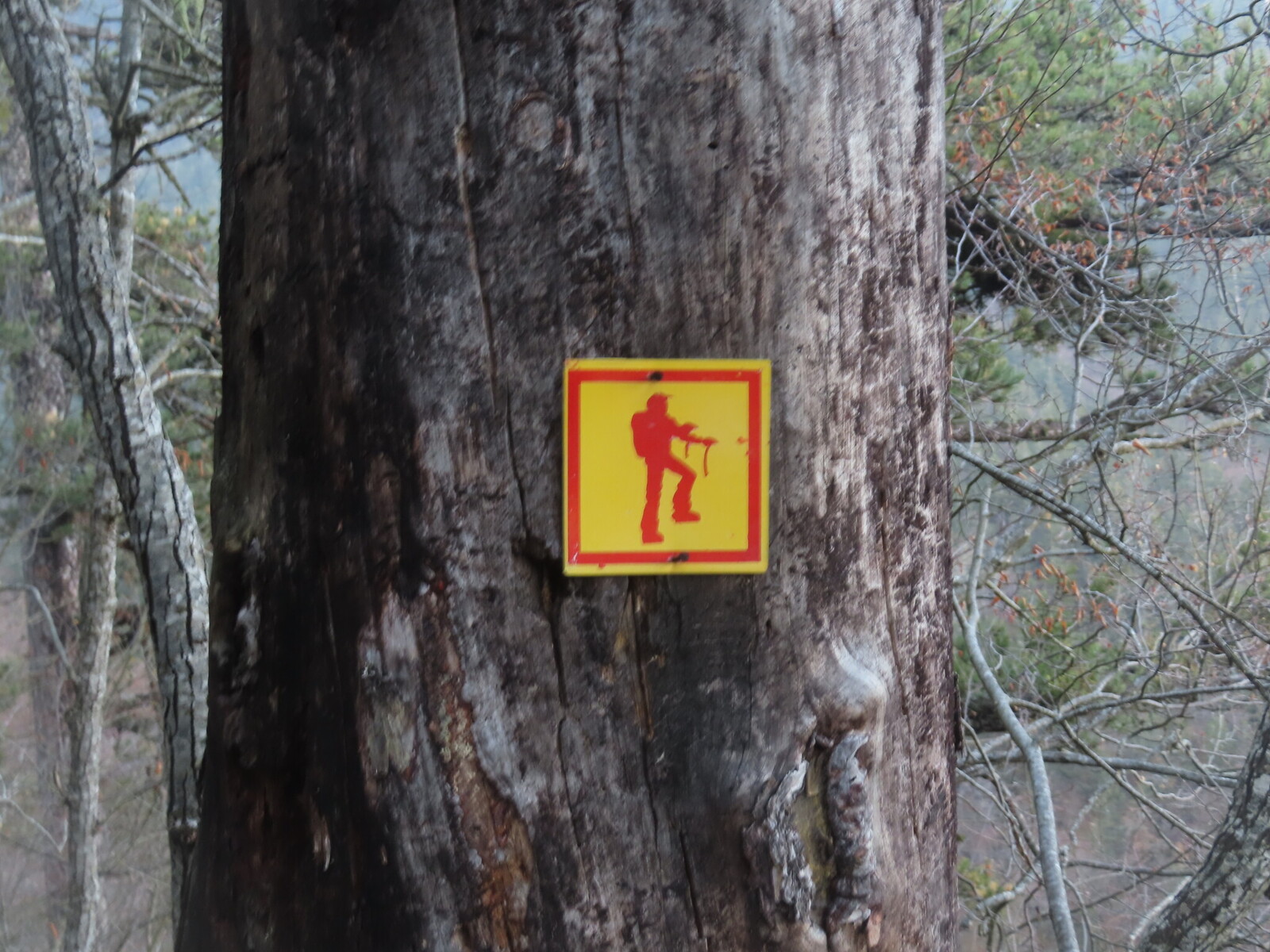 ������� �� ����, ����� �� �����. �������� ����������