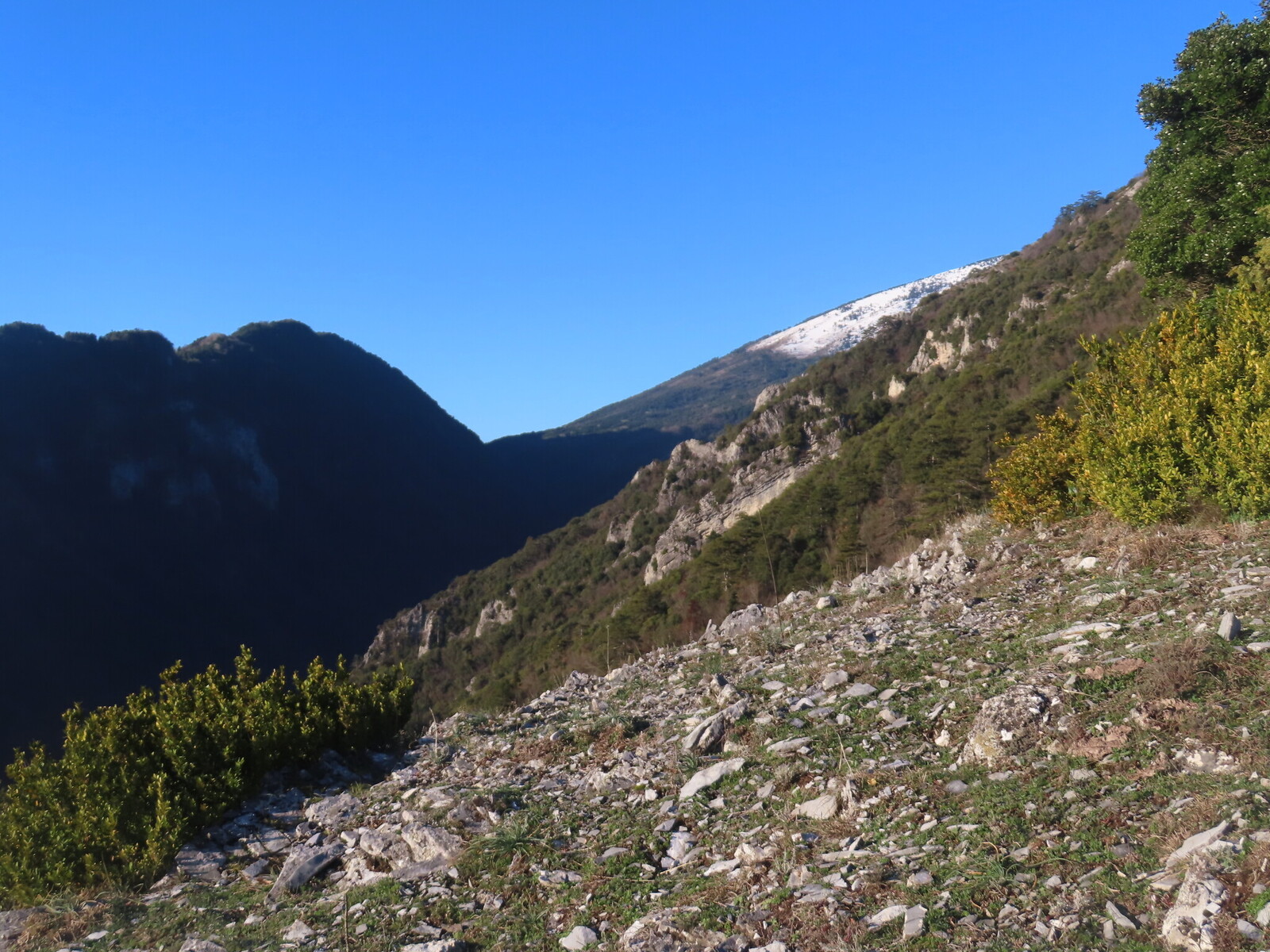 ������� �������!