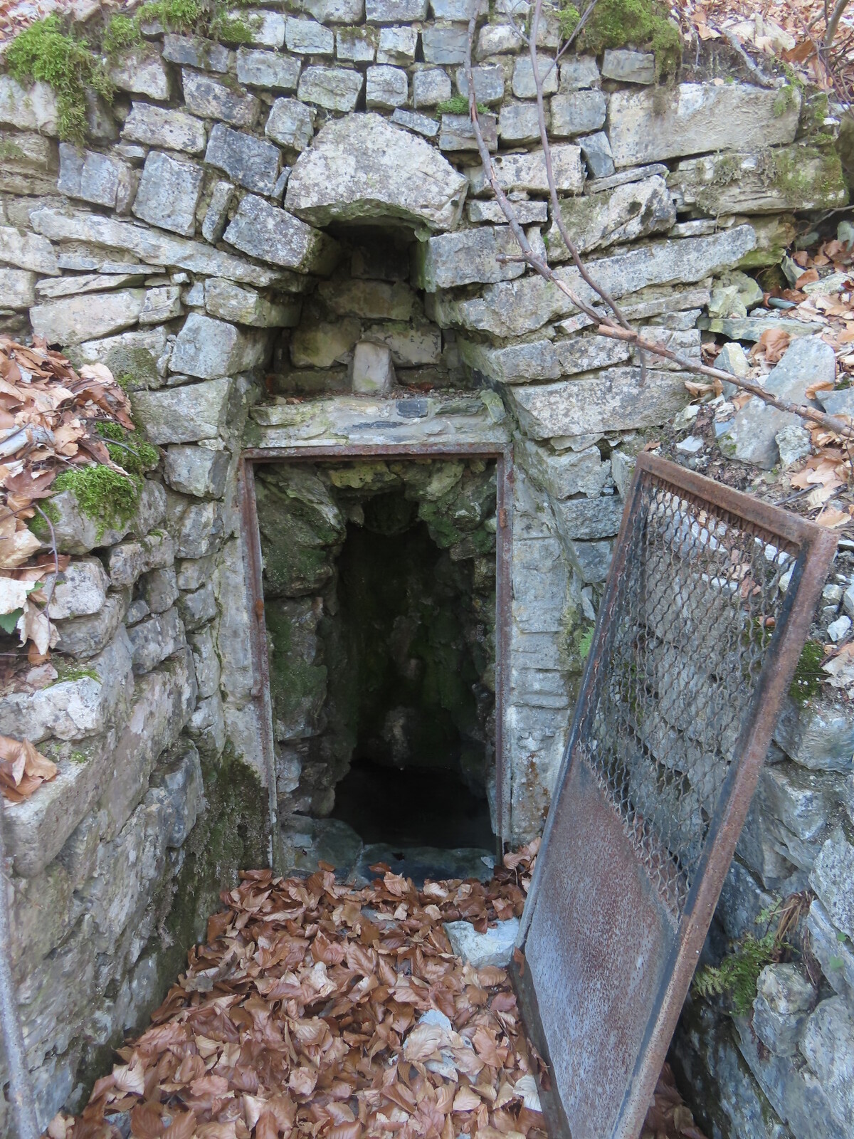 ������ �������� �� ����