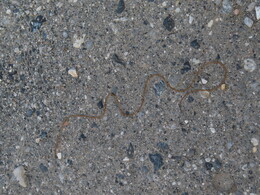 �� ������ �������� ��������� �����