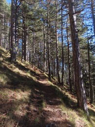 ����� ����� ��������