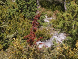 ���������� �� ������, ����������� ��� �����