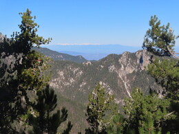 ���� ���-�� � ��������