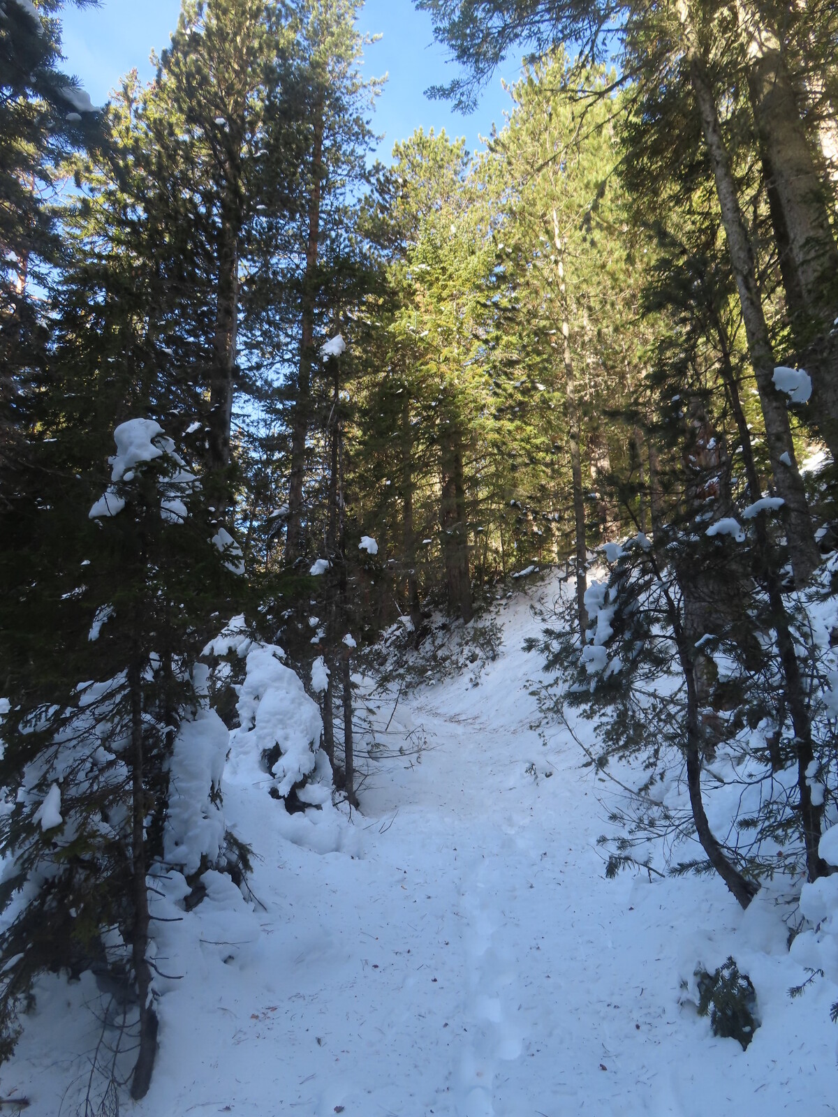 ��� ����� �� ������