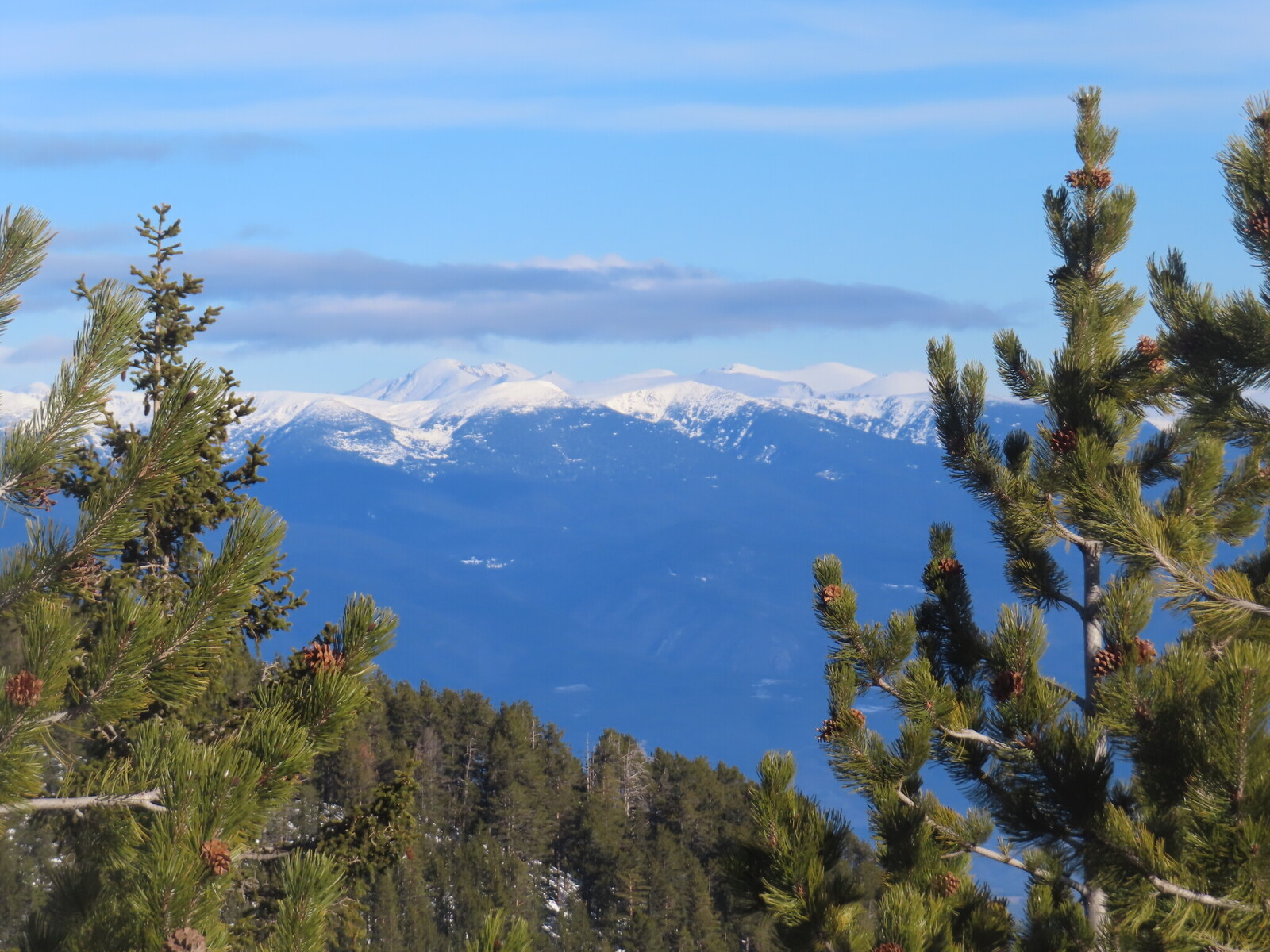 ���� �����