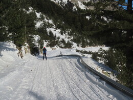 ����� ����