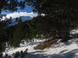 ���������� ������