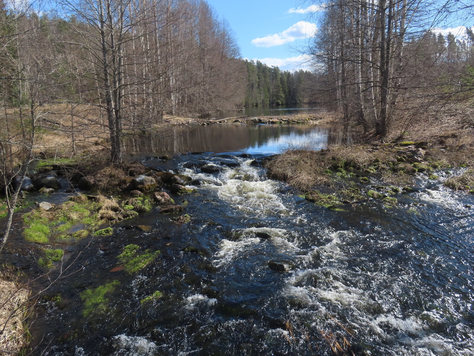 ���� K&auml;rkel&auml;njoki