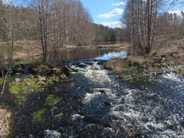 ���� K&auml;rkel&auml;njoki